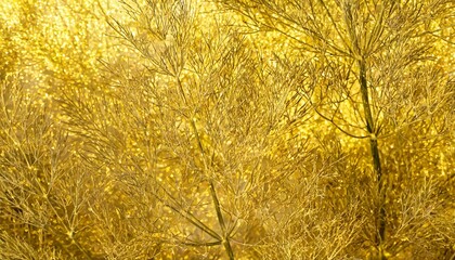 Obraz premium Golden horizontal background with dill texture