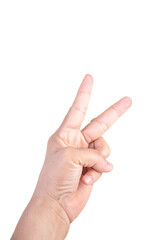 one hand on isolated background clipping path .Hands are counting numbers