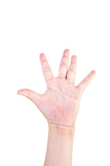 one hand on isolated background clipping path .Hands are counting numbers