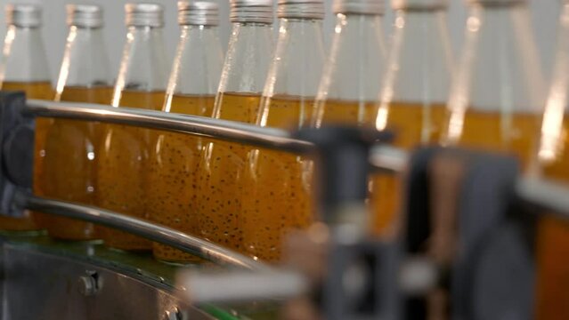 Basil or chia seed drinks with pomegranate are efficiently filled into transparent bottles on the factory's conveyor belt. Clean automated manufacturing depicts quality.