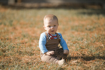 little baby boy 7 months old sitting on the green grass, walking in the fresh air.