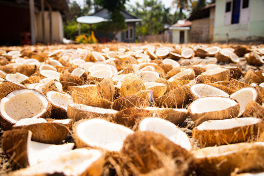 piles of coconuts dried in the sun to be made into copra. This copra will be processed into products made from coconut oil