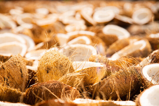 piles of coconuts dried in the sun to be made into copra. This copra will be processed into products made from coconut oil
