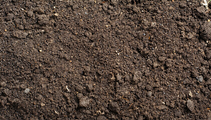 Top view of fertile garden soil. Background texture, concept for gardening and agriculture