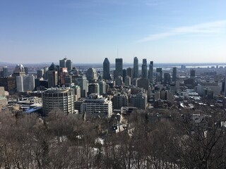View of downtown Montreal from Mont-Royal