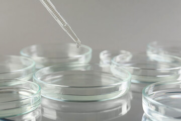 Dripping liquid from pipette into petri dish on mirror surface against grey background, closeup