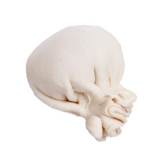 Uncooked khinkali (dumpling) isolated on white. Georgian cuisine