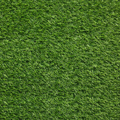 Fresh green grass as background outdoors, top view