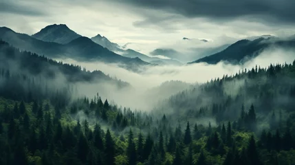 Fotobehang a foggy mountain range with trees and clouds © ion
