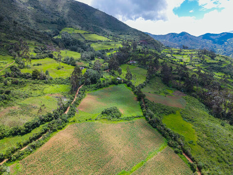 Toma a&eacute;rea de cultivos de ma&iacute;z con varias parcelas de fondo