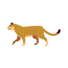 Puma Cartoon Style Illustration