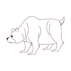 Bear Outline Illustration