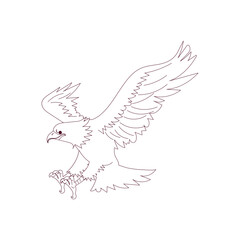 Eagle Outline Illustration