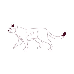 Obraz premium Puma Outline Illustration