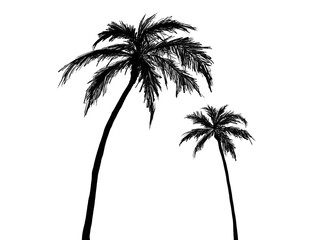 2本のヤシの木のシルエットイラスト