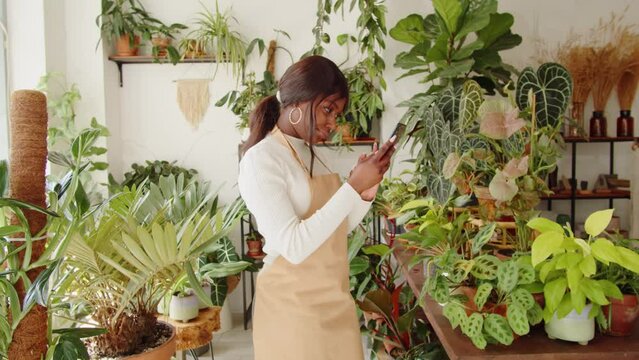 Florist taking photo of flowers. African American woman gardener using phone camera, making photos of blooming houseplant, flower shop. Botanist greenhouse worker. 