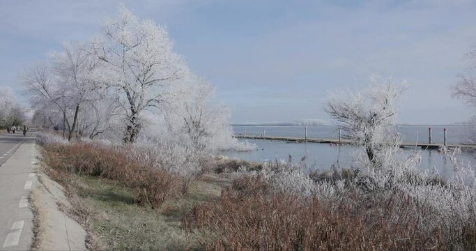 Frosted White Trees And Danube River During Winter In Galati City, Romania. Static Shot