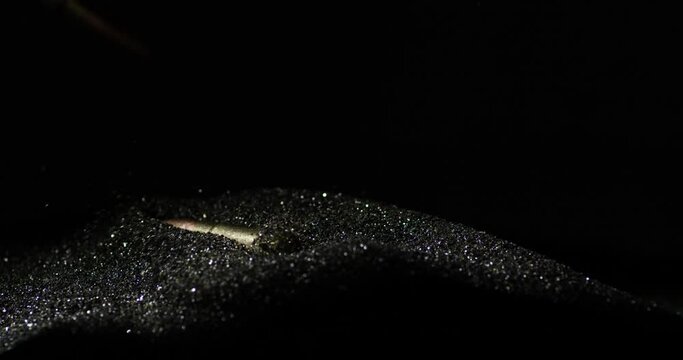 .300 AAC Blackout bullets dropping over gunpowder dust, slow motion, macro