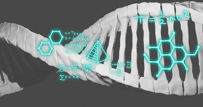 Image of dna strand, mathematical formulae and scientific data processing over grey background - Powered by Adobe