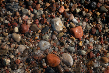 Multicolored sea pebbles on sand through seawater, Baltic Sea, village of Yantarny, Kaliningrad region, Russia