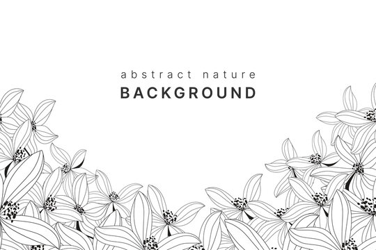 Botanical line background with flowers and leaves vector image	