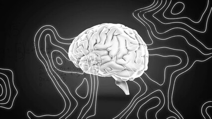Animation of human brain and mathematical equations over lines on grey background - Powered by Adobe
