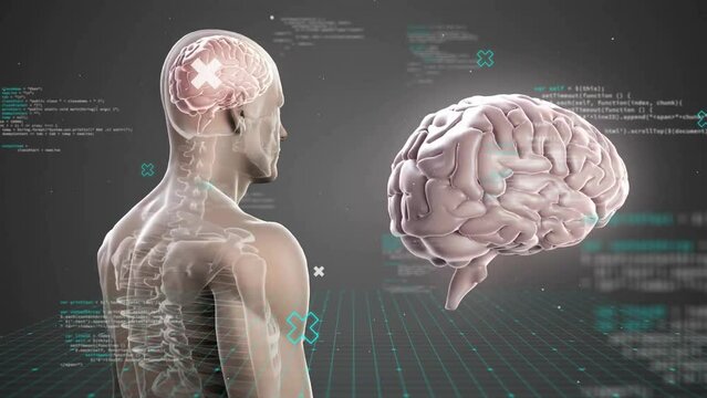 Animation of human brain with body and data processing over dark background