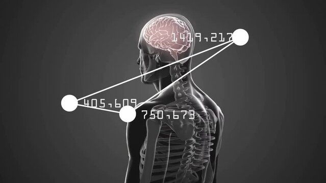 Animation of human brain and body with mathematical data processing on grey background
