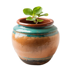 pot with kid theme, PNG image