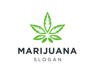 The logo design is about Marijuana and was created using the Corel Draw 2018 application with a white background.