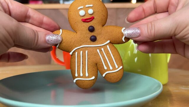 Festive Christmas food with gingerbread men, fruit cake and shortbread cookies, and reindeer ornaments centrepiece with blinking fairy lights background, close up dolly shot. . High quality
