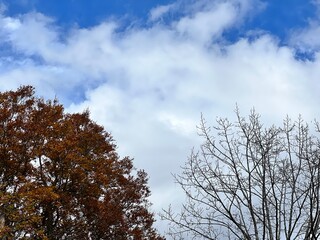 Nikko's Enchanting Autumn Colors in Nikko, Tochigi, Japan