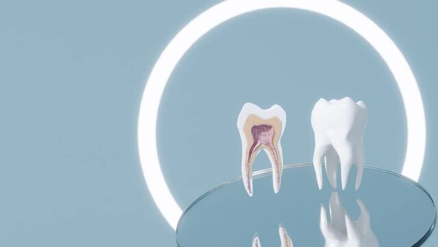3d animation of molar tooth cross section rotate in dentist studio above mirror , implant surgery mockup diagnosis concept 