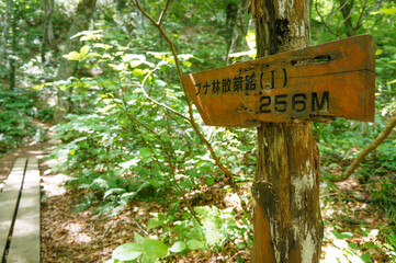 山の中にある道標