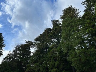 Nikko's Enchanting Autumn Colors in Nikko, Tochigi, Japan