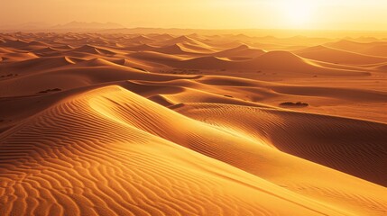 Fototapeta na wymiar A rolling sand dune landscape in a scorching hot desert.