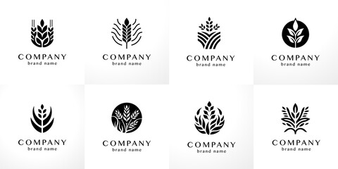 Stylish flat minimalistic logo design collection: modern graphic elements with abstract ears of wheat, grains (outline shapes) in black and white for agriculture and farm organic products in vector se