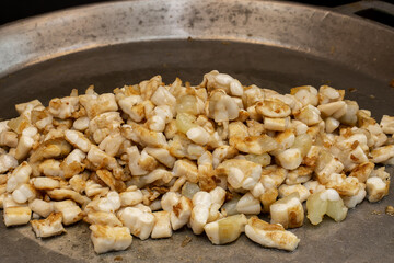 Appetizer, Block Shape, Calamari, Canary Bird, China - East Asia