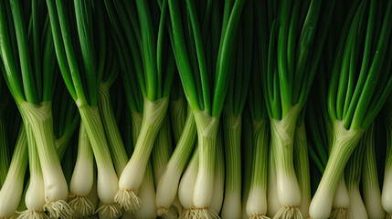 Obraz premium close up of fresh organic green onions