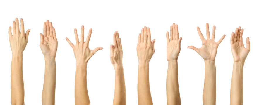 Raised hand. Multiple images set of female caucasian hand with french manicure showing Raised hand gesture