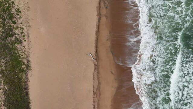 Top down view of a beautiful South African Beach, aerial drone shot of waves on the beach with driftwood