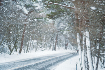 Fototapeta premium Hallasan Route covered with snow, Jeju, South Korea