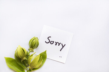 sorry message card handwriting with ylang ylang flowers arrangement flat lay postcard style on...