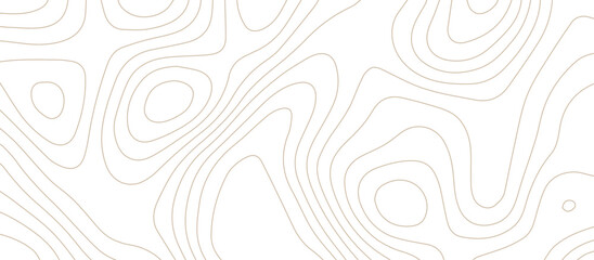 Abstract topography wavy line map background. vector illustration. topography map on land vector terrain Illustration. Black on white contours vector topography stylized height of the lines.