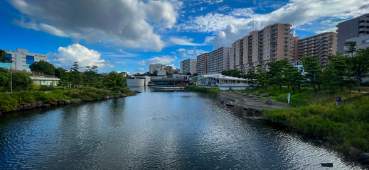 夏のしながわ区民公園