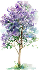 Obraz premium ライラックの水彩画