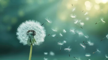 Kussenhoes Ethereal dandelion seed dances on the breeze, a delicate ballet in nature's breath, Ai Generated. © Crazy Juke