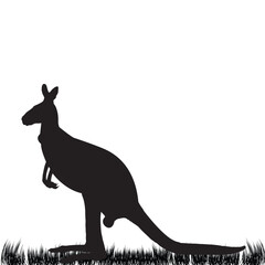 Silhouette of a KANGARO Jumping