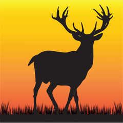 Silhouette of a DEER Illustration 