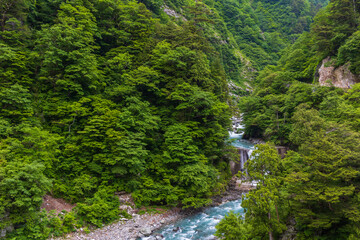 日本の風景　夏の黒部峡谷　欅平	
